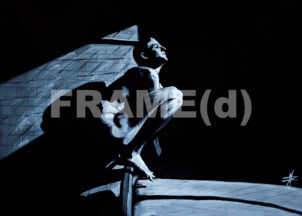 Birdy / Prints & Affiches