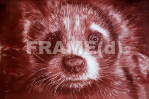 Gardians of the Galaxy 3 - Carte postale