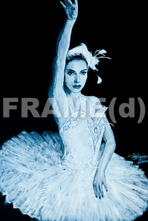 Black Swan / Prints & Affiche